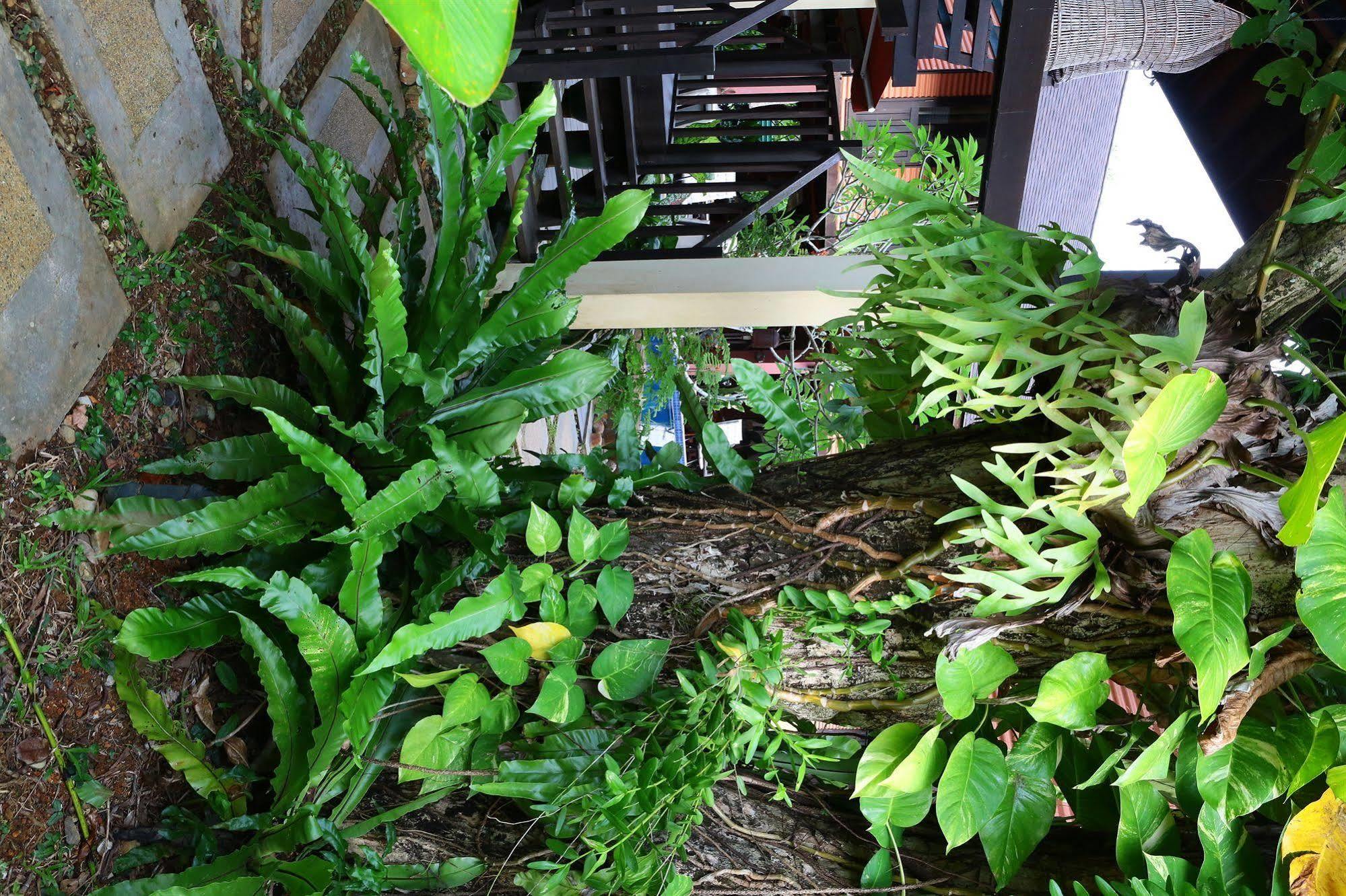 The Village House Santubong Exterior foto